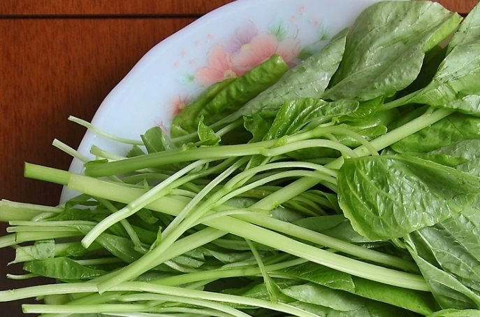 莧菜煮法 莧菜煮法
