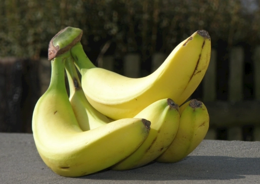 香蕉吃太多 香蕉吃太多