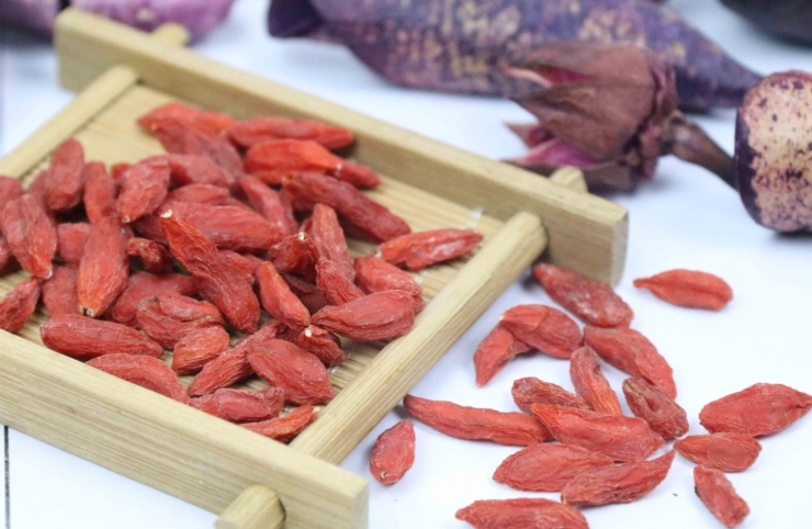 洗腎 可以 吃 枸杞 嗎