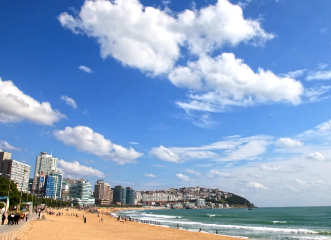 海雲台一日遊完整攻略：行程規劃、景點美食與交通指南