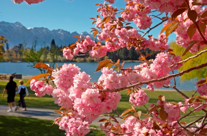 紐西蘭旅遊季節