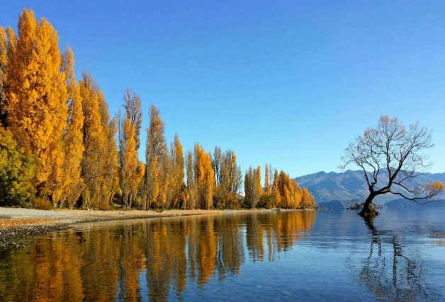 紐西蘭春季旅遊穿搭