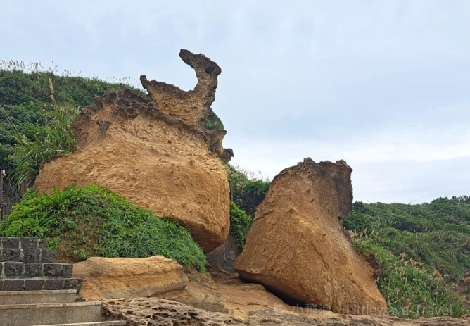 開車到野柳攻略 開車到野柳攻略