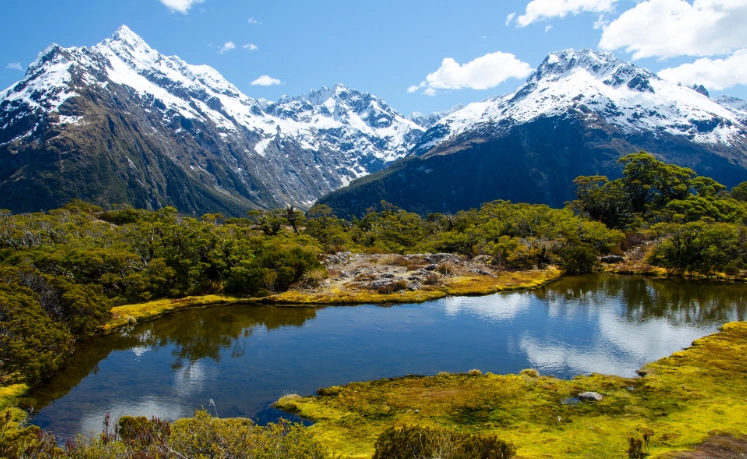 紐西蘭航空國內線