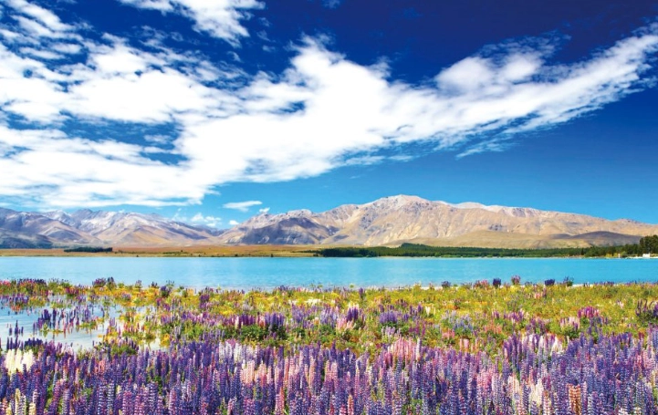 紐西蘭飛行時間 紐西蘭飛行時間