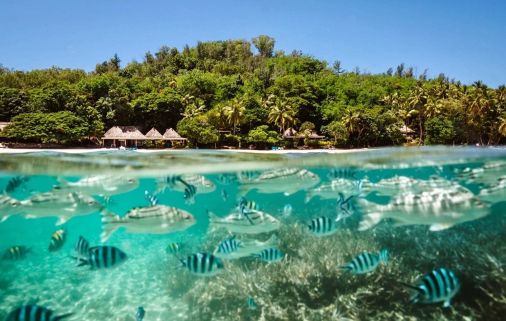 斐濟最佳旅遊時間