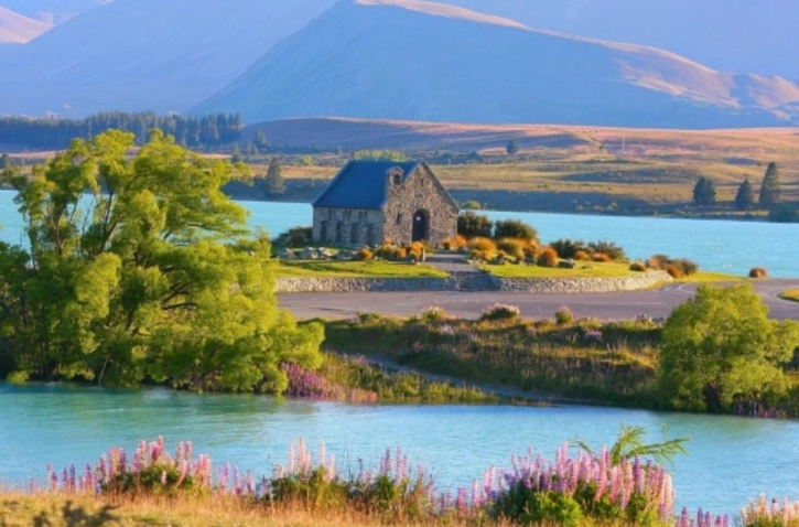 紐西蘭駕駛方向