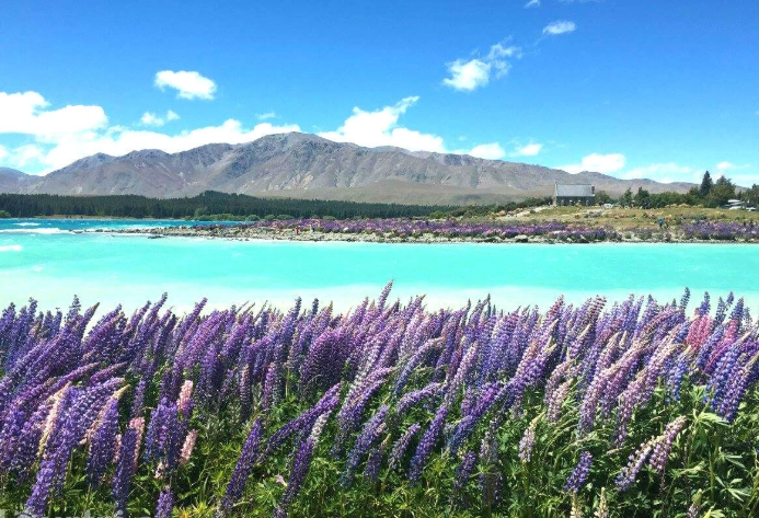 紐西蘭旅遊規劃