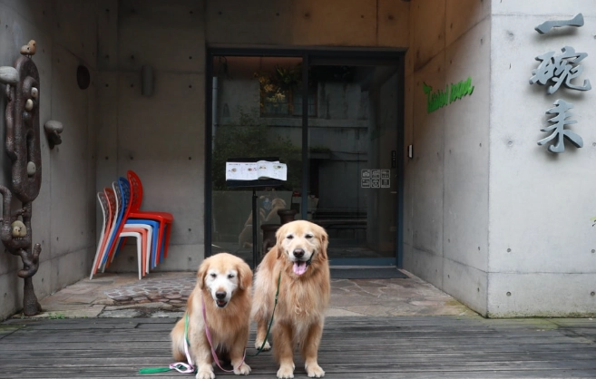 忠孝新生美食 忠孝新生美食
