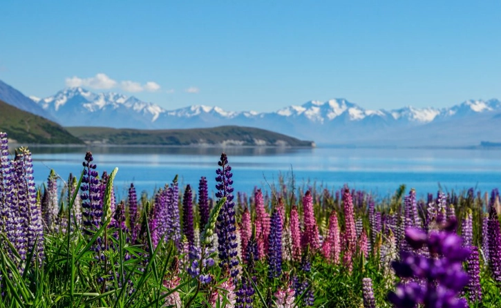紐西蘭旅遊時間規劃