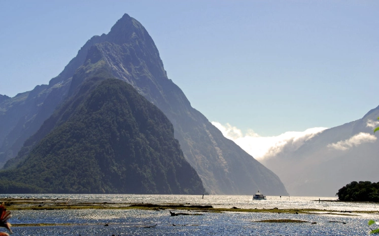 紐西蘭航空國內航班