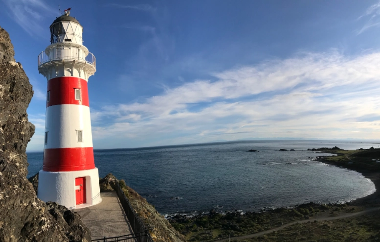 紐西蘭右駕規則