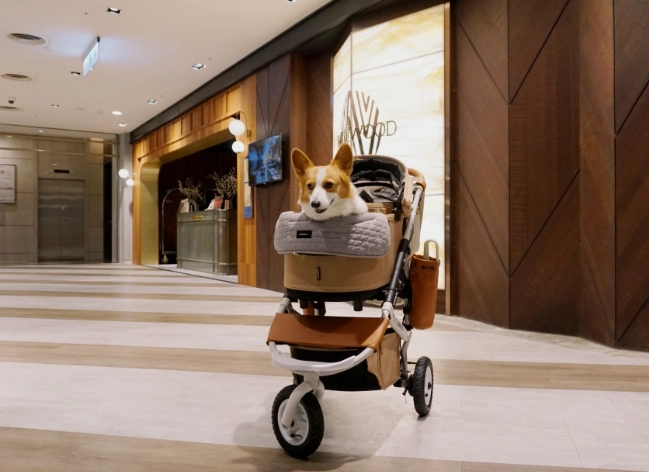 帶寵物用餐指南