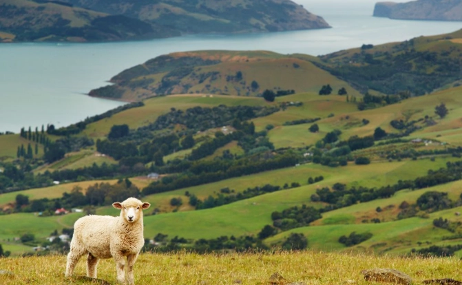 紐西蘭天氣預報