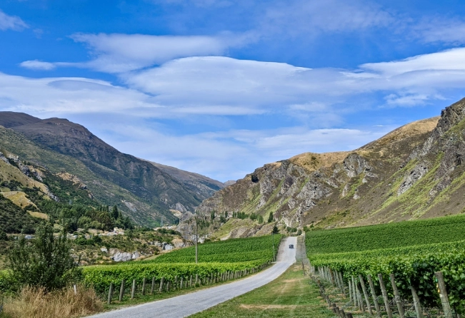 纽西兰葡萄酒旅游 纽西兰葡萄酒旅游