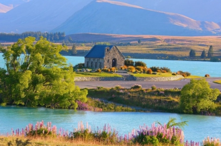 台灣飛紐西蘭航班