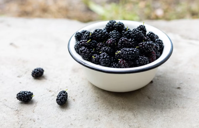 桑椹功效 桑椹功效