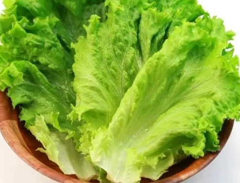 可生吃蔬菜 可生吃蔬菜