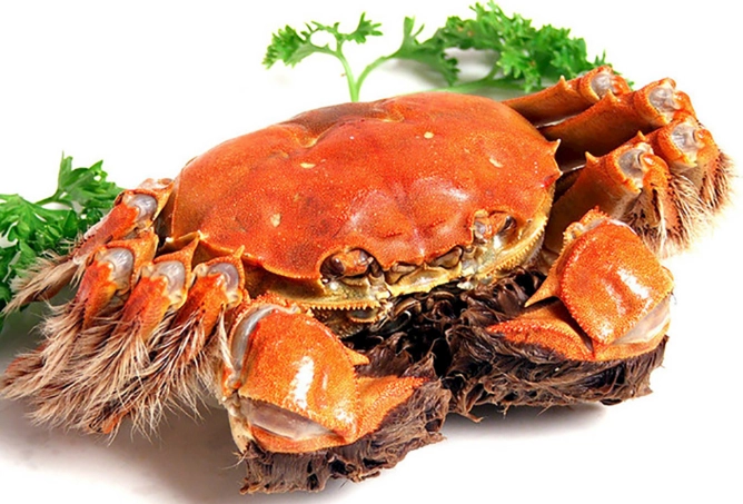 螃蟹不能和什麼一起吃