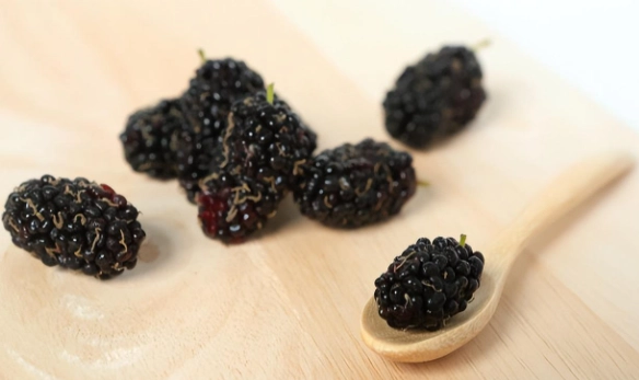 桑椹干禁忌 桑椹干禁忌