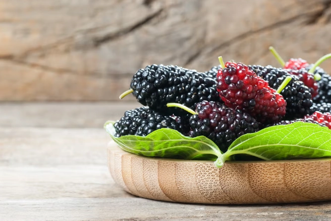 桑椹好處 桑椹好處