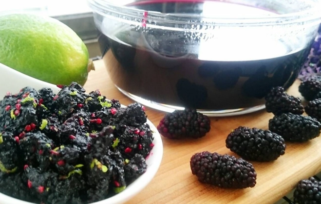 桑椹功效 桑椹功效