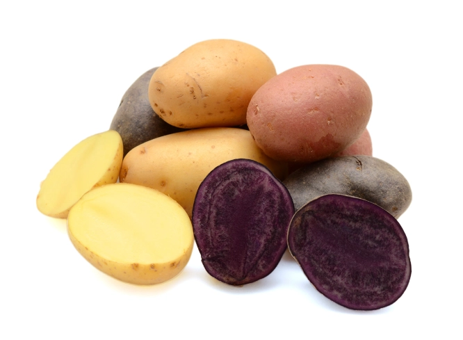 馬鈴薯酸發酵 馬鈴薯酸發酵