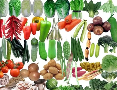 生食安全 生食安全