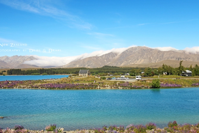 國際駕照紐西蘭