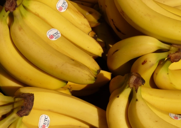 香蕉過熟不能吃