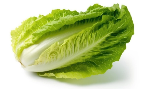 生菜沙拉做法 生菜沙拉做法