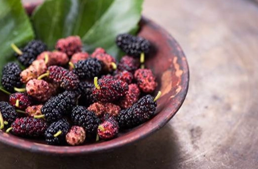 桑椹怎麼吃 桑椹怎麼吃