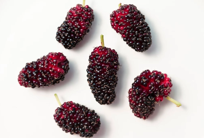 桑椹怎麼吃 桑椹怎麼吃