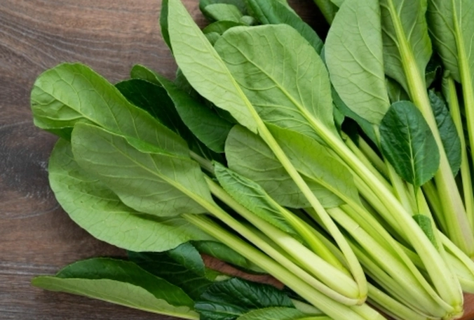 生食蔬菜好處 生食蔬菜好處