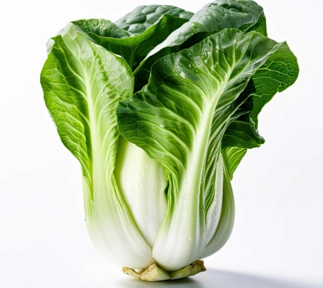 白菜食譜 白菜食譜