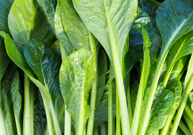 生食蔬菜好處 生食蔬菜好處