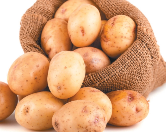 酸溜土豆絲食譜 酸溜土豆絲食譜