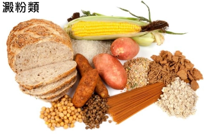 澱粉類食物 澱粉類食物