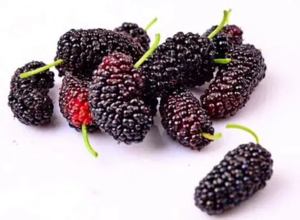 桑葚干功效 桑葚干功效