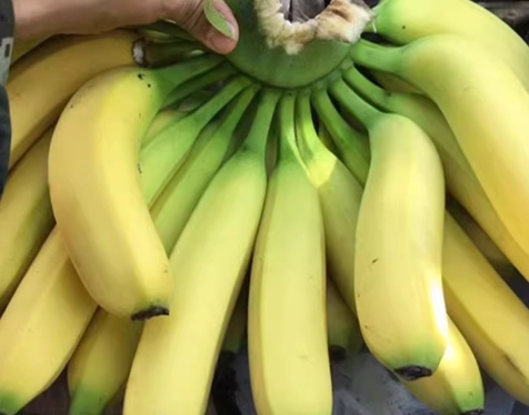 香蕉不能和什麼一起吃