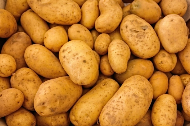 食物相剋禁忌 食物相剋禁忌