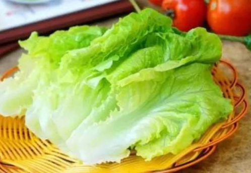 台灣蔬菜料理 台灣蔬菜料理