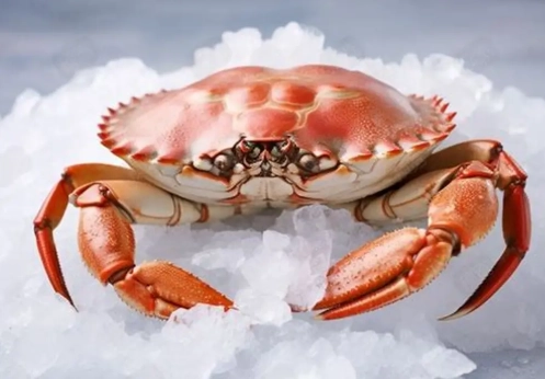 螃蟹料理搭配