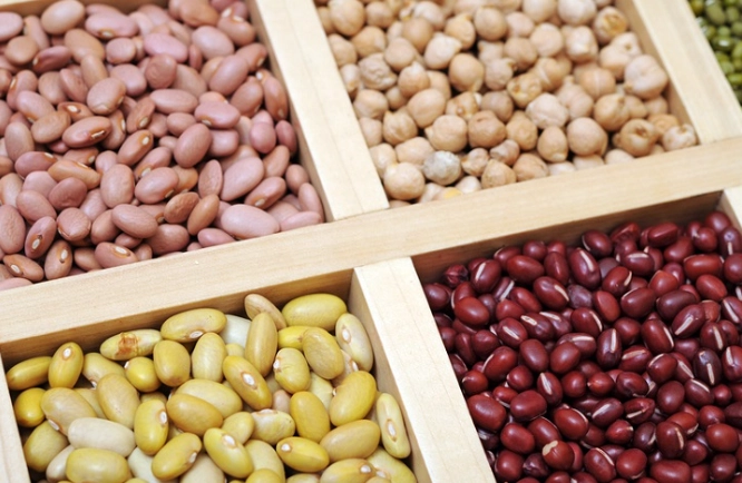 澱粉食物表 澱粉食物表