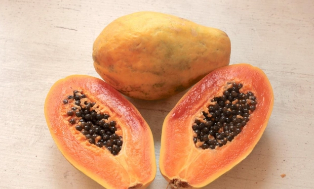 木瓜芒果搭配 木瓜芒果搭配