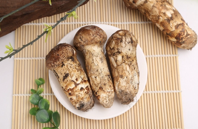 松茸生吃