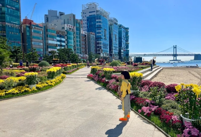 海雲台到廣安里散步