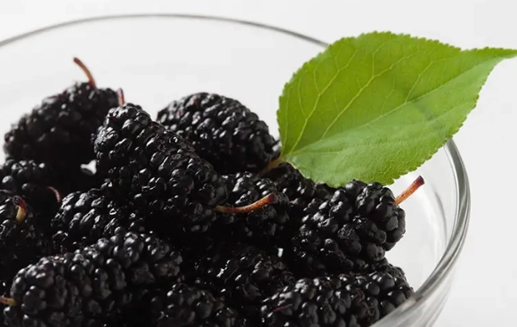 桑葚吃法 桑葚吃法