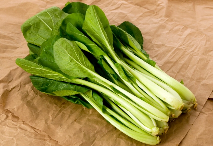 生食料理食譜 生食料理食譜