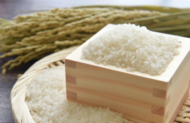 減少澱粉飲食 減少澱粉飲食